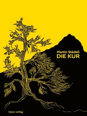 cover image of Die Kur